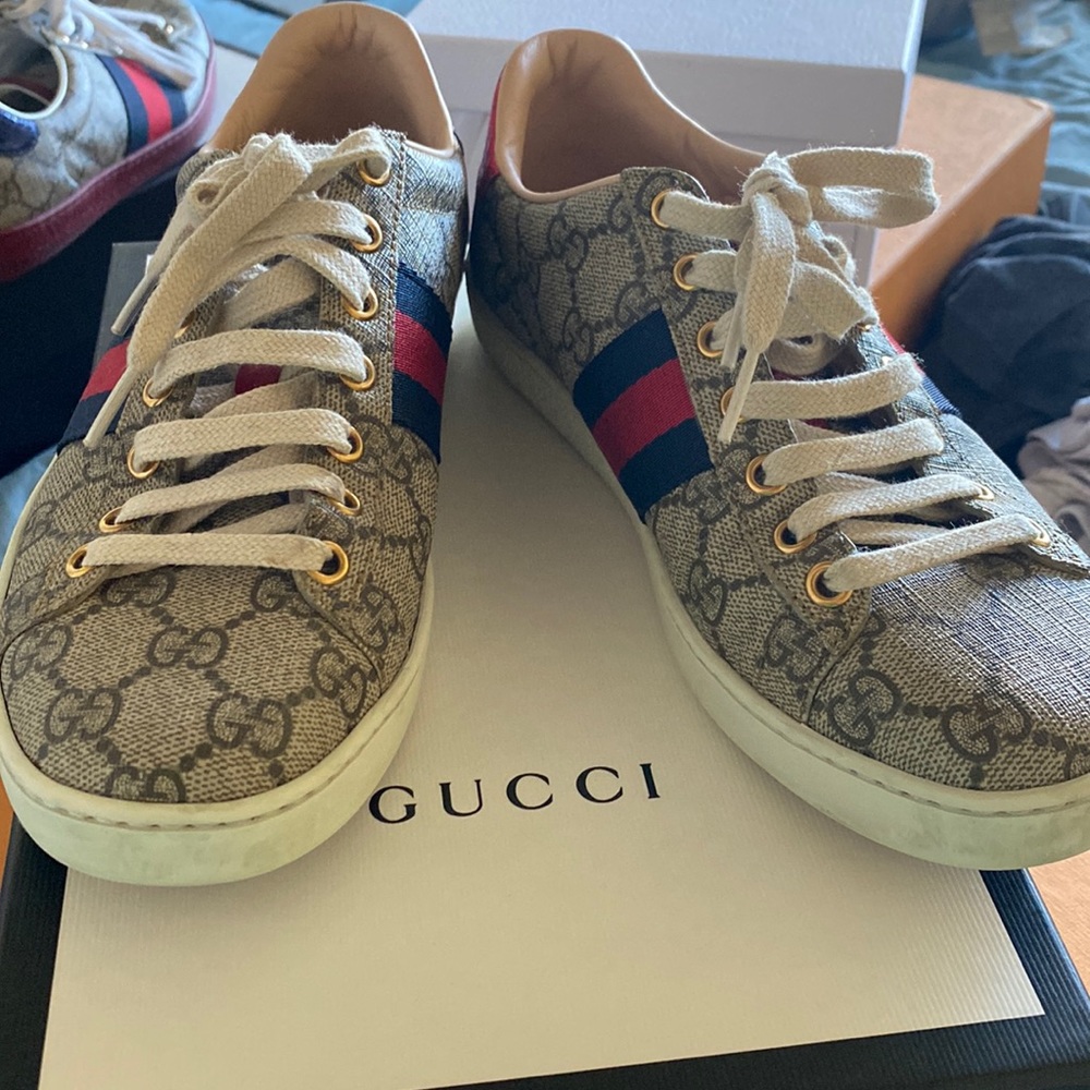 GG Canvas New Ace Sneakes